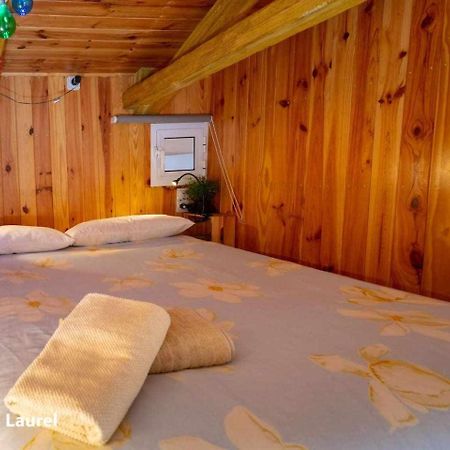 La Casa Del Druida Lejlighed Málaga Eksteriør billede