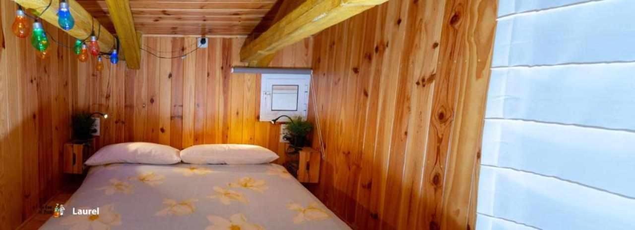 La Casa Del Druida Lejlighed Málaga Eksteriør billede